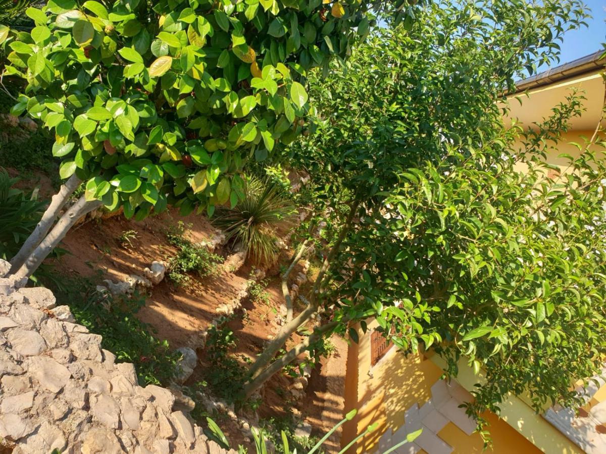 Villa Sargheruoli Monteroni di Lecce Esterno foto